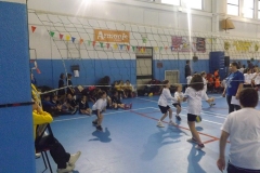 foto-tappa-minivolley-151