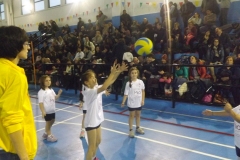 foto-tappa-minivolley-168