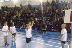 foto-tappa-minivolley-170