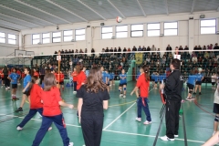 Tappa-minivolley-04-03-2012-060