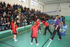 Tappa-minivolley-04-03-2012-068