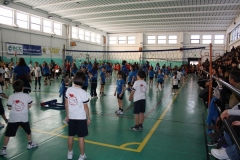 Tappa-minivolley-04-03-2012-074