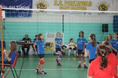 Tappa-minivolley-04-03-2012-080