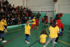 Tappa-minivolley-04-03-2012-091