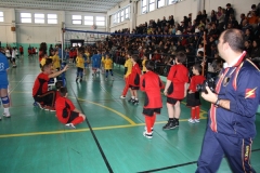 Tappa-minivolley-04-03-2012-093