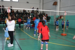 Tappa-minivolley-04-03-2012-094