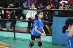 Tappa-minivolley-07-03-2010-103